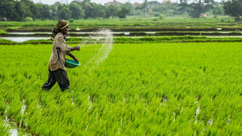 Farmer Fertilizer 1