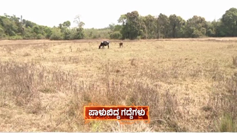 ಕೃಷಿಯನ್ನೇ ನಂಬಿದ್ದ ರೈತರಿಗೆ ಚೆಕ್ ಡ್ಯಾಂ ಪ್ರಾಬ್ಲಂ - ವರ್ಷವಿಡೀ ಬೆಳೆಯುತ್ತಿದ್ದ ಭತ್ತದ ಬೆಳೆಗೆ ವಿದಾಯ! 4 Hassan Check Dam 3