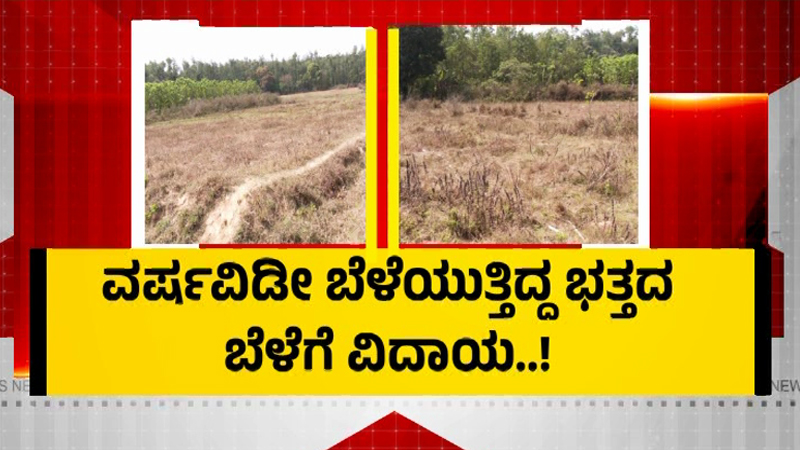 ಕೃಷಿಯನ್ನೇ ನಂಬಿದ್ದ ರೈತರಿಗೆ ಚೆಕ್ ಡ್ಯಾಂ ಪ್ರಾಬ್ಲಂ - ವರ್ಷವಿಡೀ ಬೆಳೆಯುತ್ತಿದ್ದ ಭತ್ತದ ಬೆಳೆಗೆ ವಿದಾಯ! 5 Hassan Check Dam