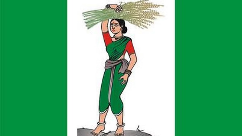 JDS FLAG 1