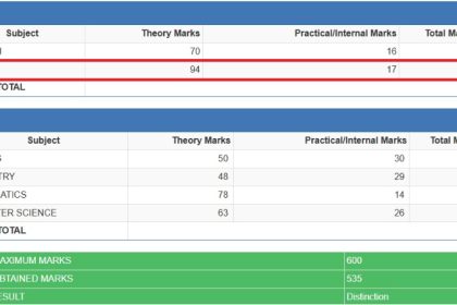 Karnataka PUC Result Student passes with 111 marks out of 100 Hindi