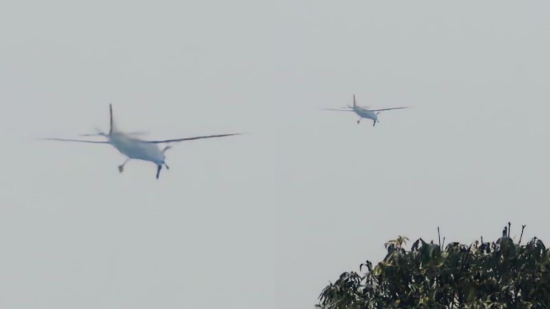 Private Plane Flying 30 Feet Above Ground Crashes Into Tree In Chhattisgarh 4
