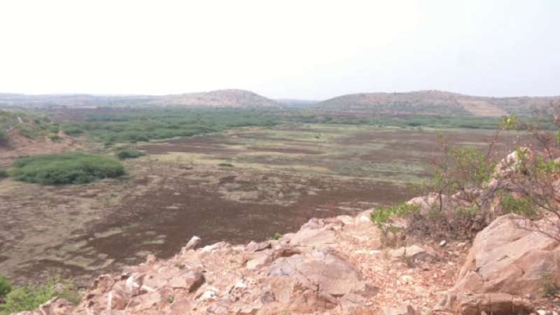 Rising temperature In Bagalkot the historical Muchakhandi lake has dried up 1