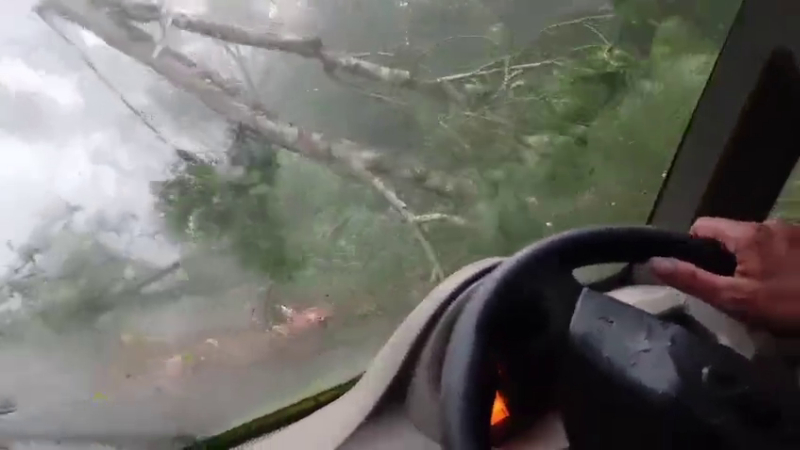 a huge tree fell in front of a moving car in aldur chikkamagaluru