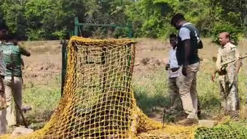 ಉಡುಪಿ| ಬಾವಿಗೆ ಬಿದ್ದಿದ್ದ ಚಿರತೆ ರಕ್ಷಿಸಿದ ಅರಣ್ಯ ಇಲಾಖೆ ಸಿಬ್ಬಂದಿ 1 leopard rescue udupi