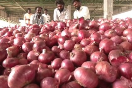 onion price raichuru