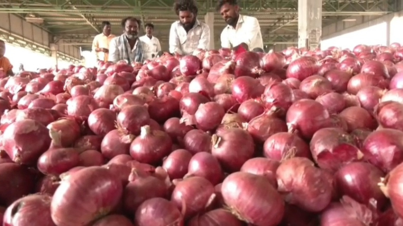 onion price raichuru