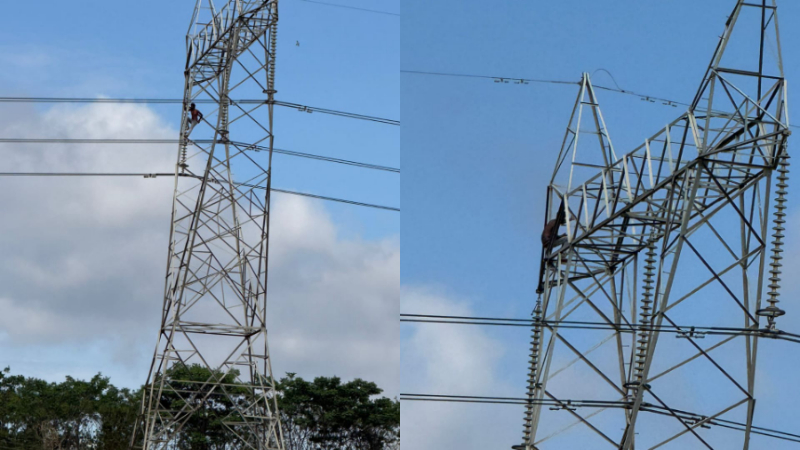 Anekal Lover Climbed High Tension Pole