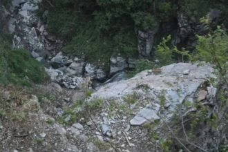 Chamba Tourist Vehicle Plunges Into George 8 Killed