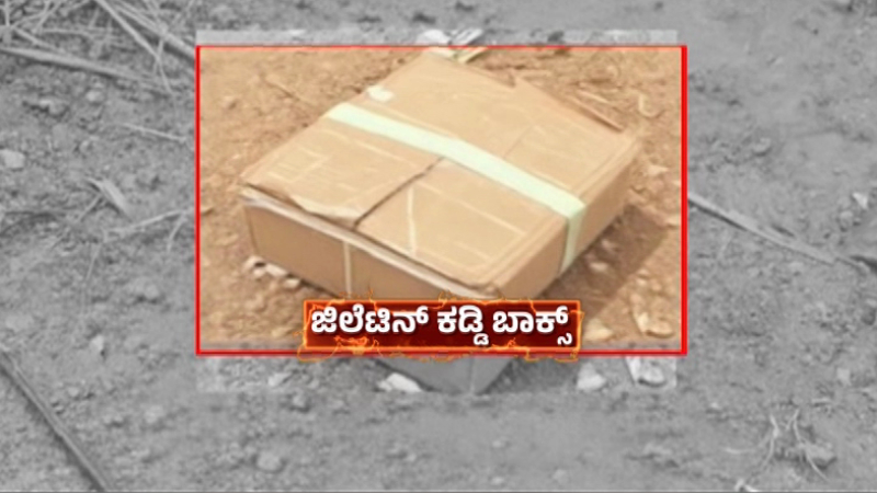 Gelatin Sticks Found Near PM Modis 2