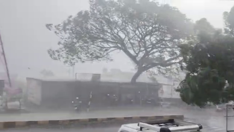 Heavy Rain