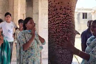 Huge opposition to relocation of Hampi elephant Lakshmi Tears from Mavutanas family protests from locals
