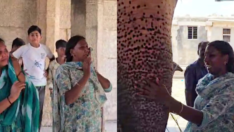 Huge opposition to relocation of Hampi elephant Lakshmi Tears from Mavutanas family protests from locals