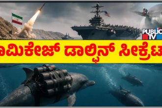 Kamikaze Dolphins Cold War Iran America