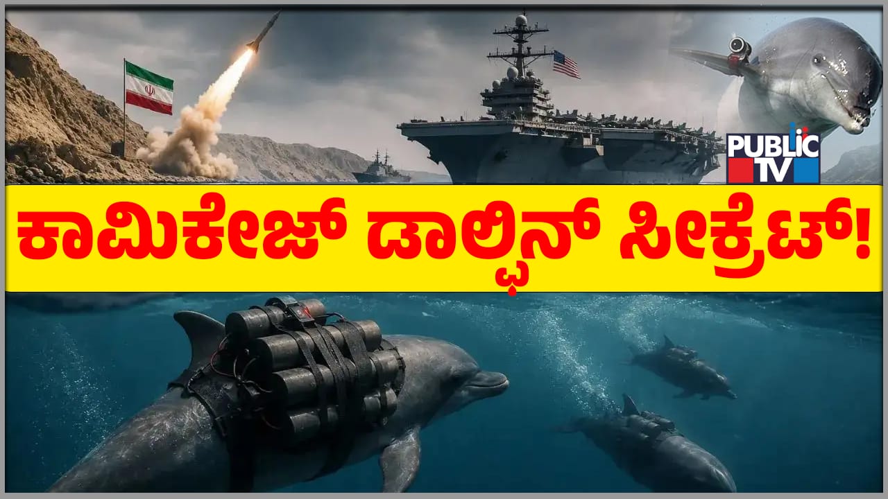 Kamikaze Dolphins Cold War Iran America