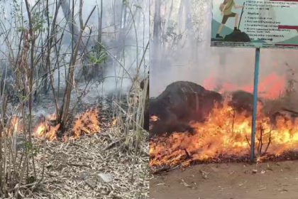 Kolar Forest Fire