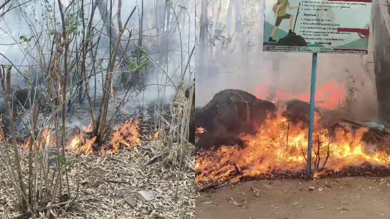 Kolar Forest Fire