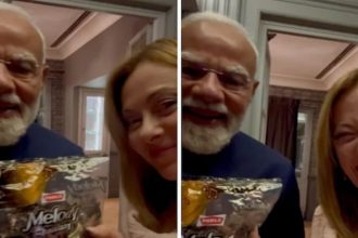 Modi Meloni Melody Chocolate