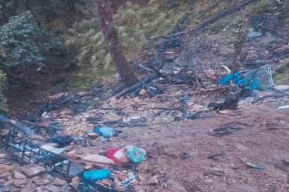 Nepal Accident