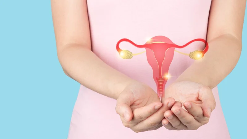 Ovary
