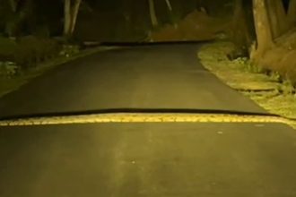 Python 2