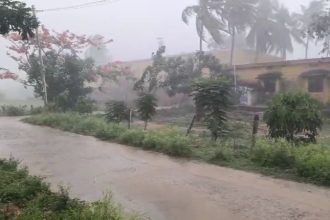 Rain 3