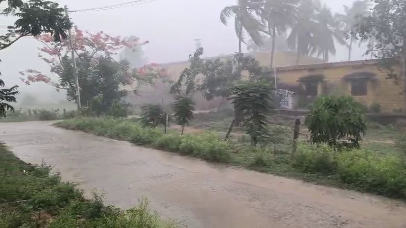 Rain 3