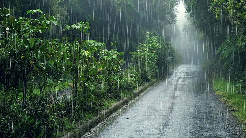 Rain