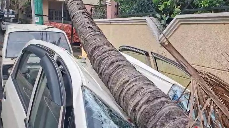 ಆಲಿಕಲ್ಲು, ಬಿರುಗಾಳಿ ಸಹಿತ ಭಾರೀ ಮಳೆ – ಬೆಂಗಳೂರಿನಲ್ಲಿ ಹತ್ತಾರು ಅವಾಂತರ; ಜನ ಹೈರಾಣು 5 Rainfall 2