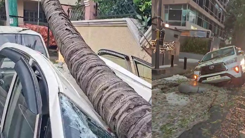 Rainfall 3