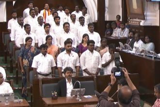 Tamil Nadu Chief Minister Vijay wins Assembly trust vote after DMK walkout