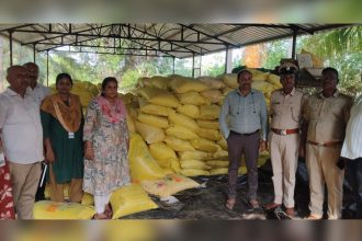 Urea Fertilizer