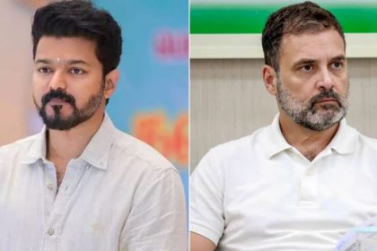 tvk vijay and rahul gandhi