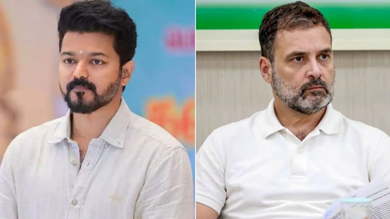 tvk vijay and rahul gandhi