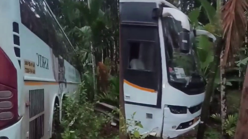 Airavata bus crashes into areca nut plantation near Thirthahalli