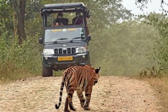 Bandipur