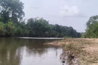 Bhadra river