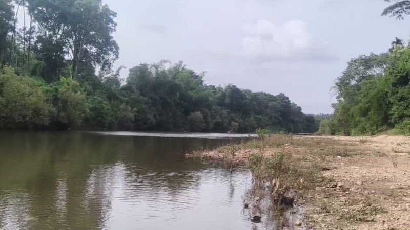 Bhadra river