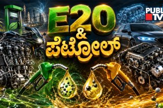 E20 Petrol