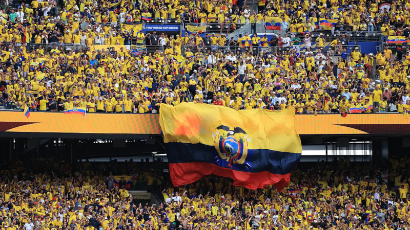 Germany vs Ecuador