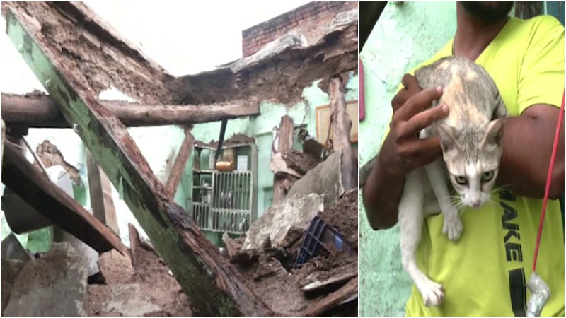 House collapsed due to heavy rain Pet cat saves owners life Bagalkote