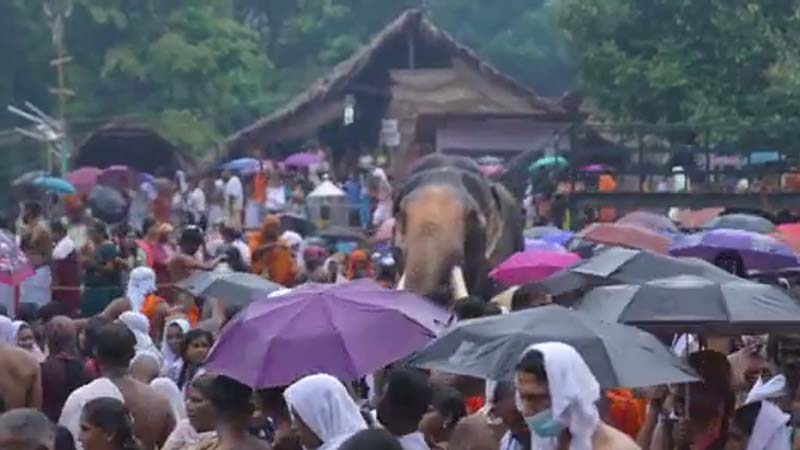 ಕೊಟ್ಟಿಯೂರು ದೇವಸ್ಥಾನದಲ್ಲಿ ಕರ್ನಾಟಕ ಭಕ್ತರ ಮೇಲೆ ದುರ್ವರ್ತನೆ - ನೂಕುನುಗ್ಗಲು, ಭಾರೀ ಅವ್ಯವಸ್ಥೆ 11 Kottiyoor 3
