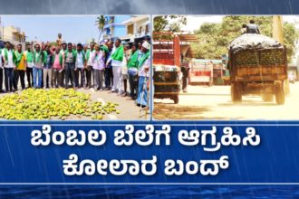 Mango Price Drop Kolar Bandh