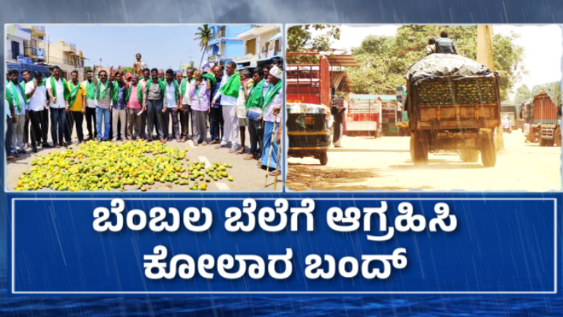 Mango Price Drop Kolar Bandh