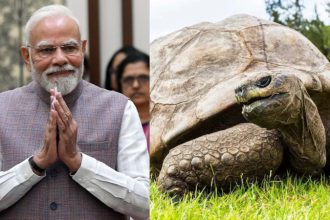 Modi to meet Jonathan