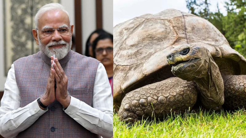 Modi to meet Jonathan