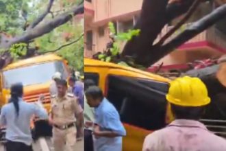 Mumbais Chembur area when a tree fell on a school bus carrying students on their way home from school 10 children have been seriously injured