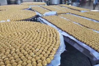 Nelamangala Laddu
