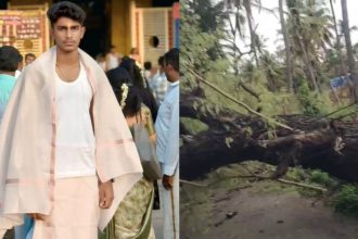 Ramanagara Tree Fall Youth Death