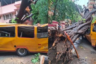 Student Dies 10 Injured After Tree Falls On School Bus In Mumbais Chembur